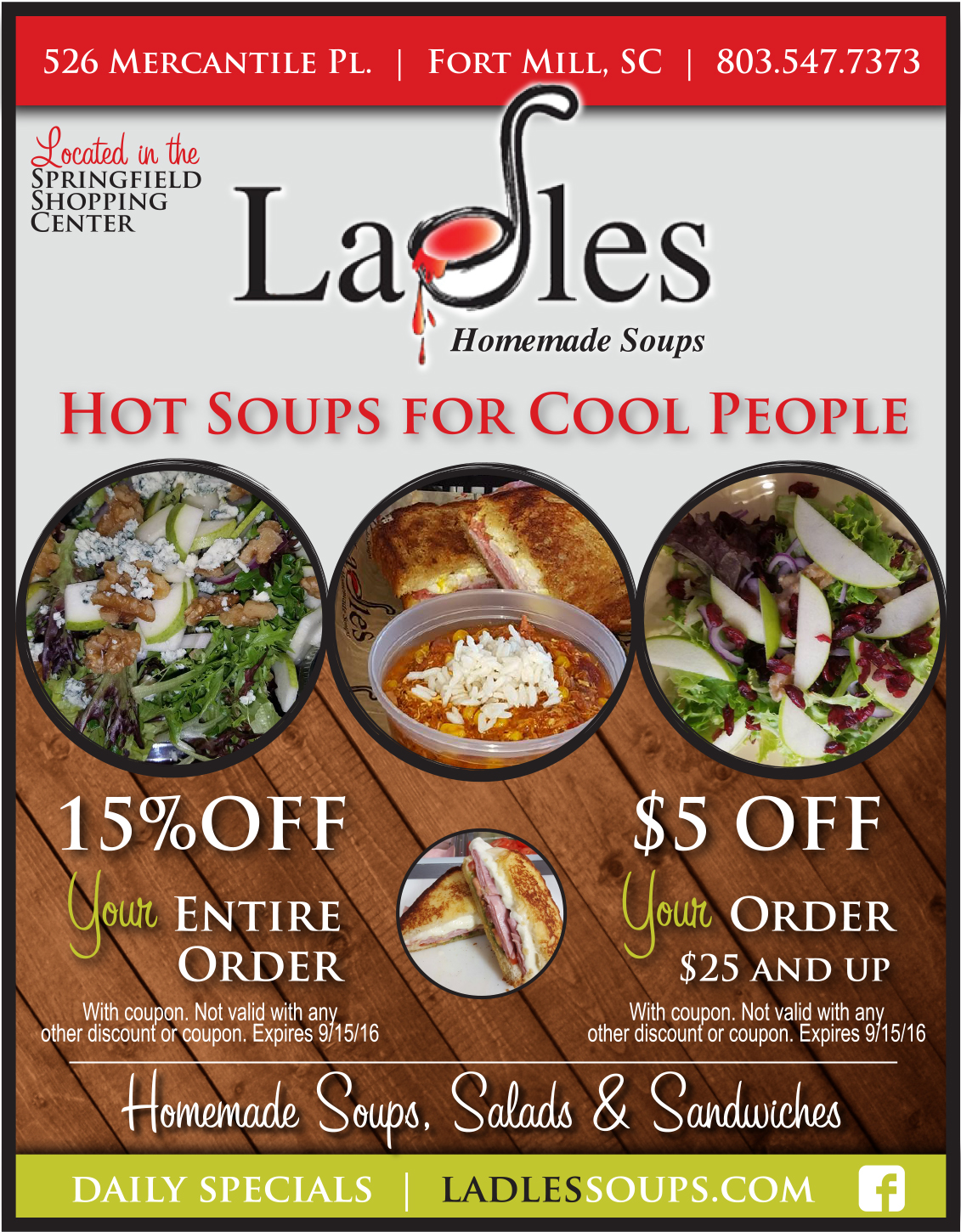 ladles homemade soups